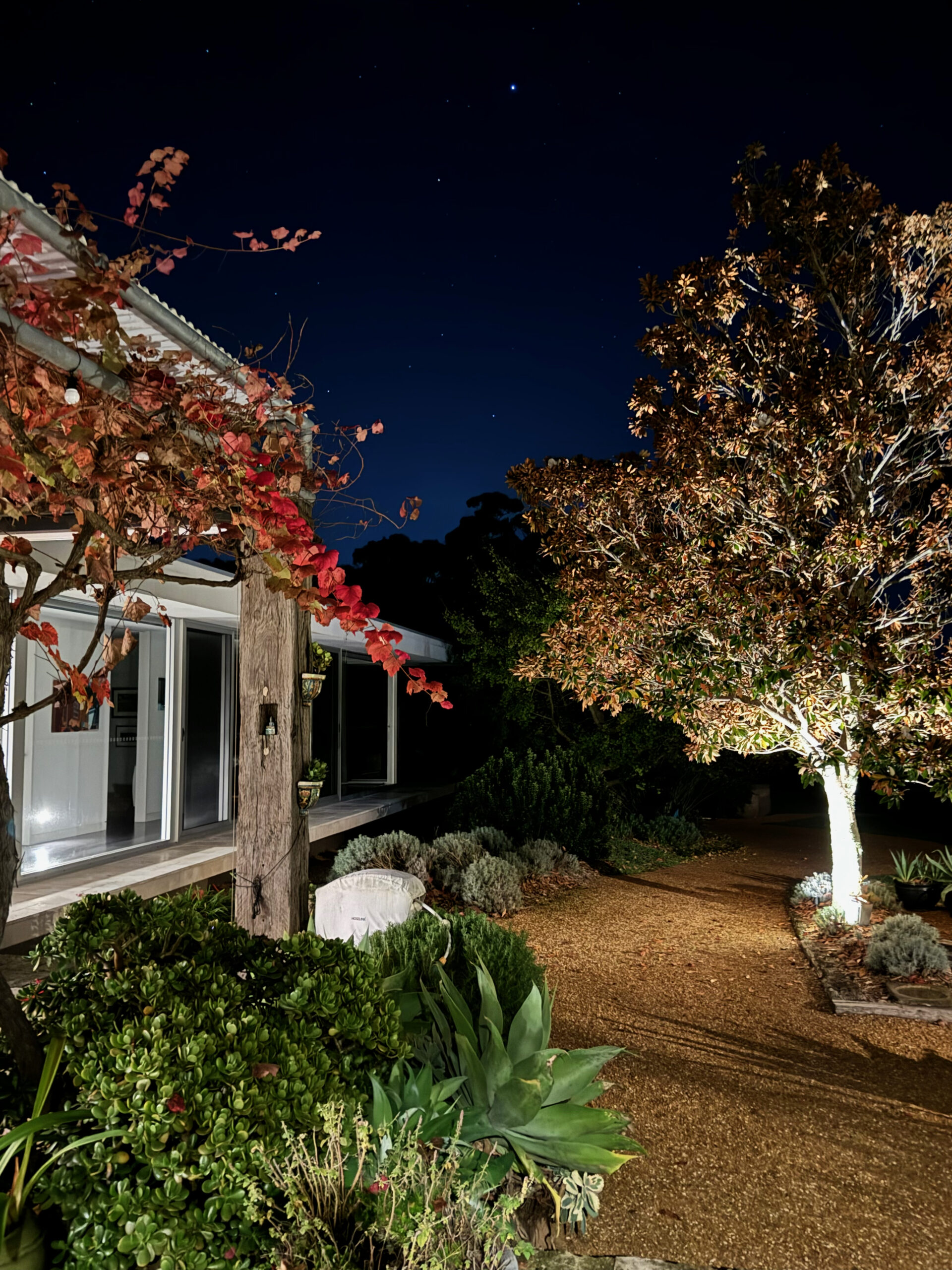 DIRRAMU – REBORN AND RESPLENDENT - COAST Magazine